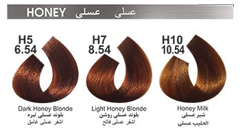 رنگ مو کاترومر گروه عسلی رنگ شیر عسلی شماره H10 - 10.54 حجم 100 میلی لیتر