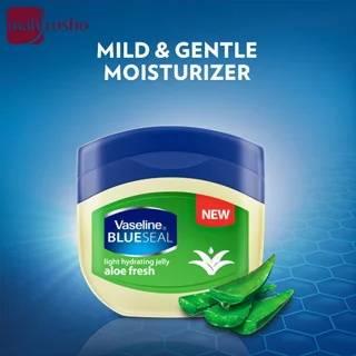 مرطوب کننده ملایم ژلی بلوسیل وازلین مدل Aloe Fresh حجم 100 میلی لیتر